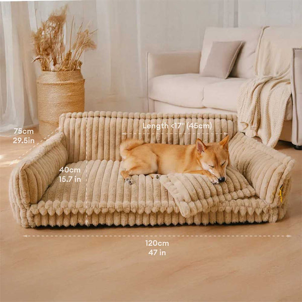 Snoozy Dream – Orthopedic Dog Bed